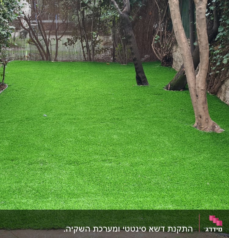 דשא סינתטי ירוק עם עצים מסביב בגינה